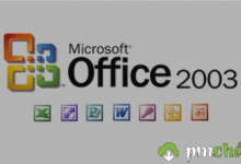 Downloads Office 2003 (English) Full phiên bản 01